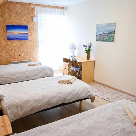 Kunstikooli Hostel
